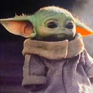 Meet your Posher, Jay